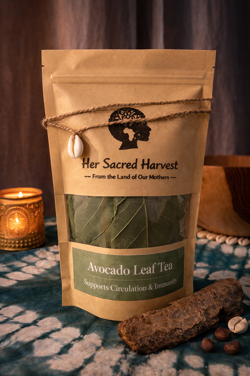 Avocado Leaf Tea