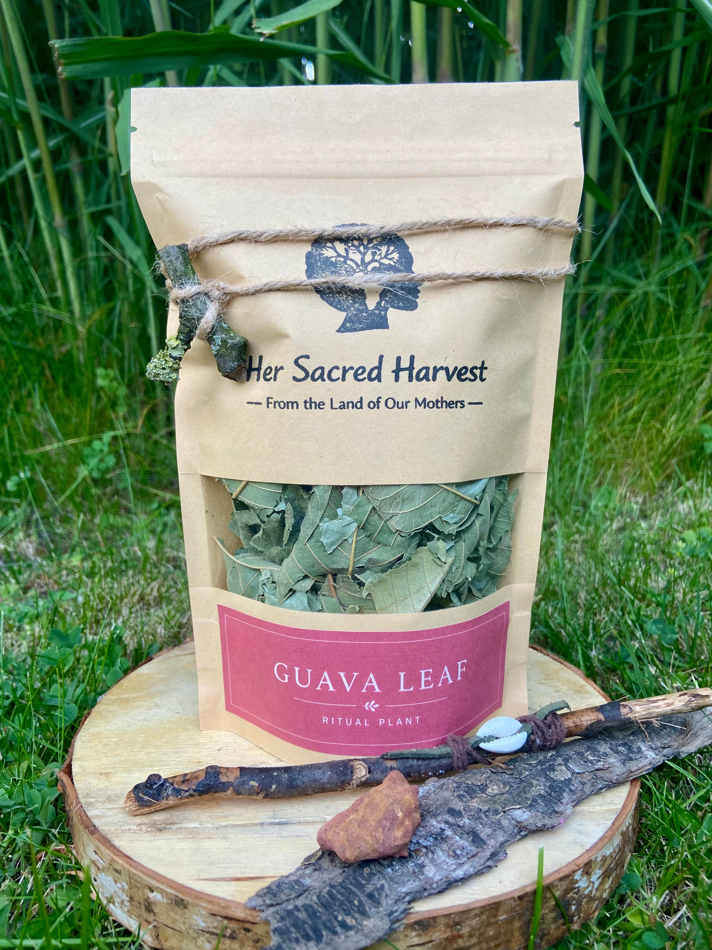 Guava Leaf