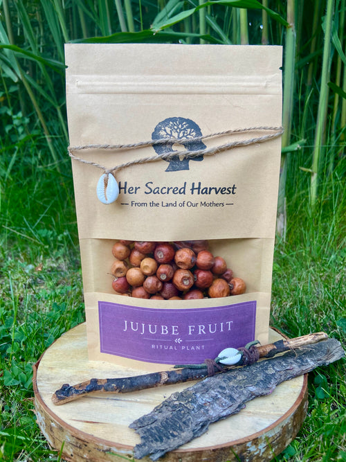 African dried Jujube