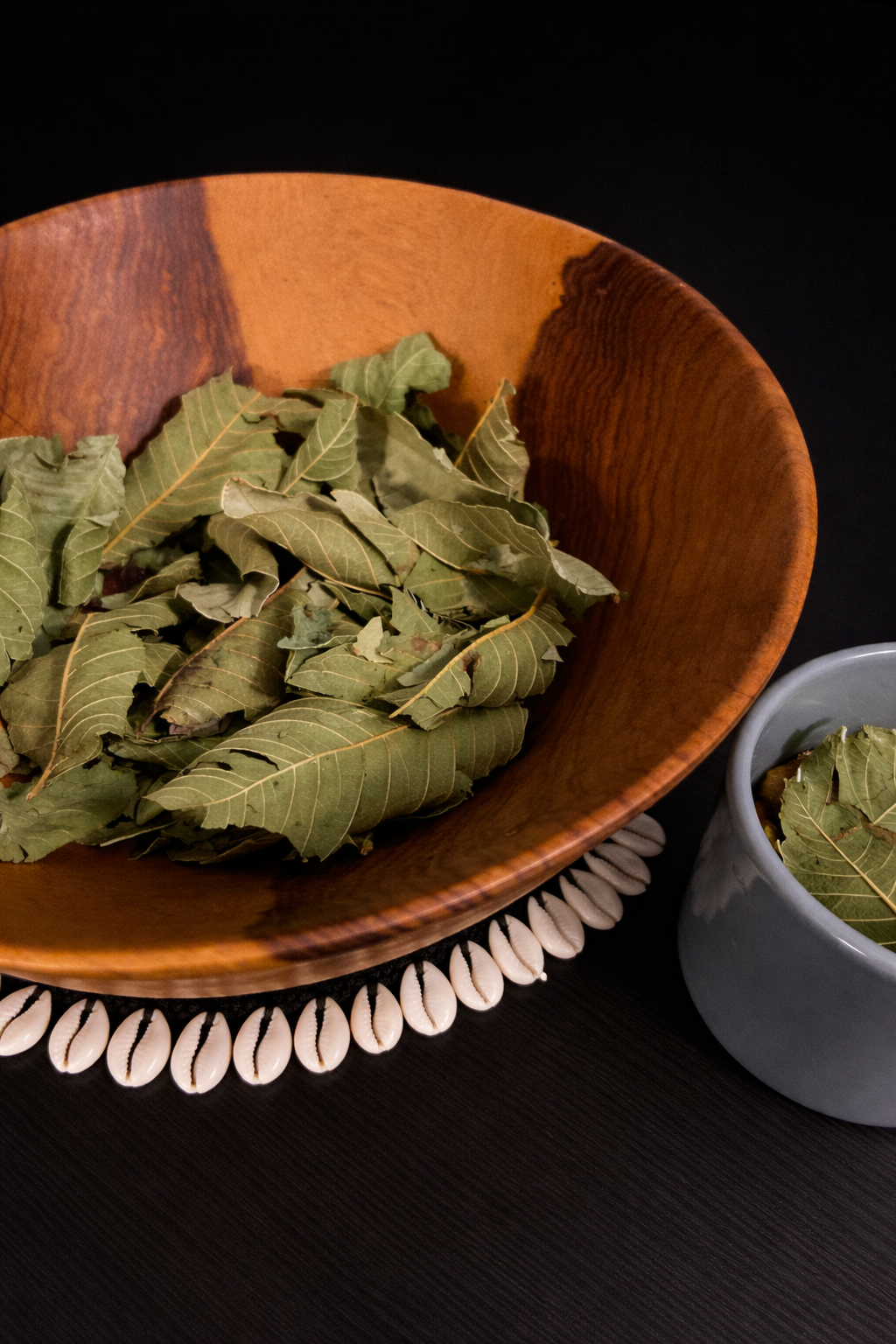 Guava Leaf