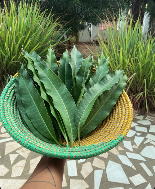 Ancestral Grounding Ritual Bundle