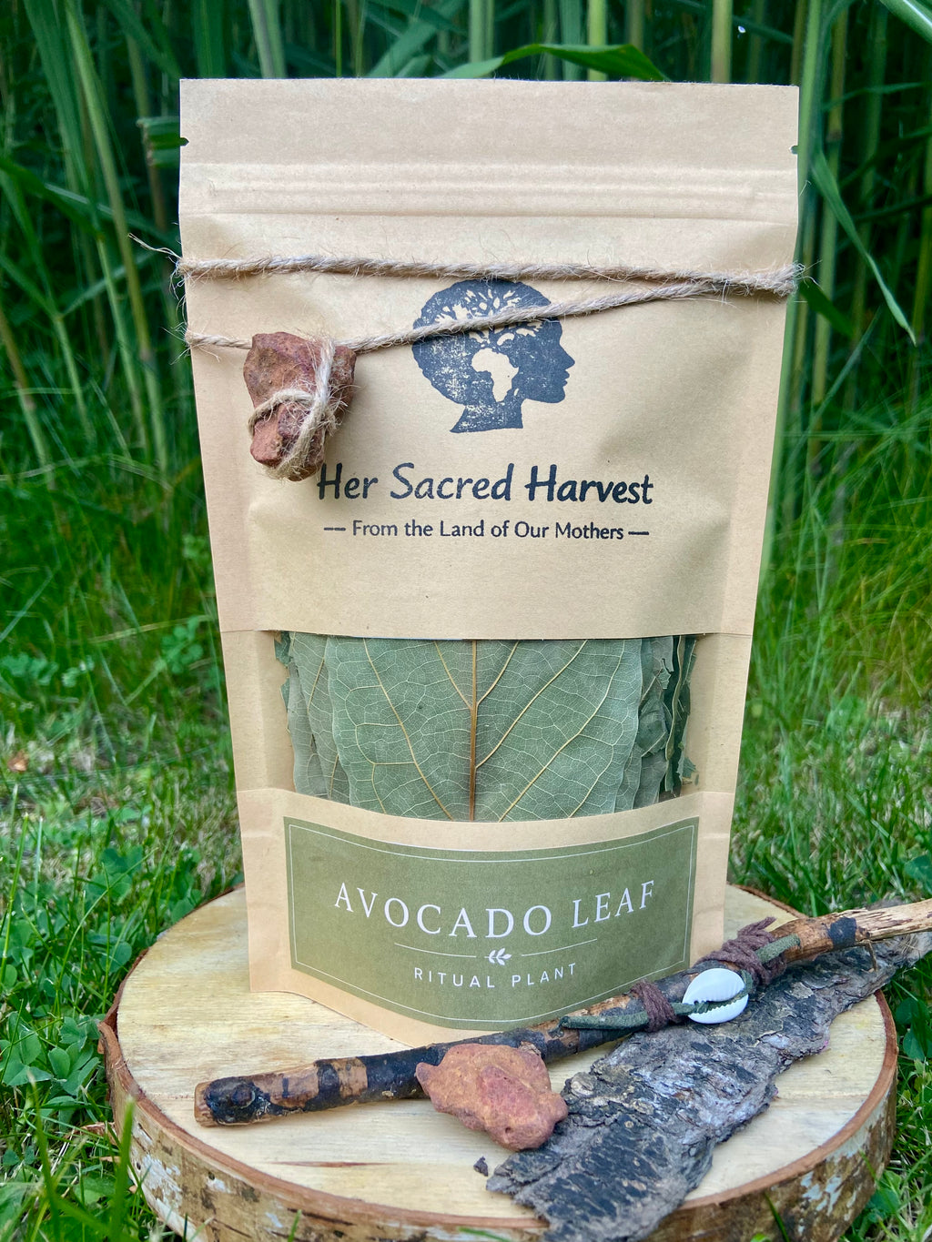 Avocado Leaf