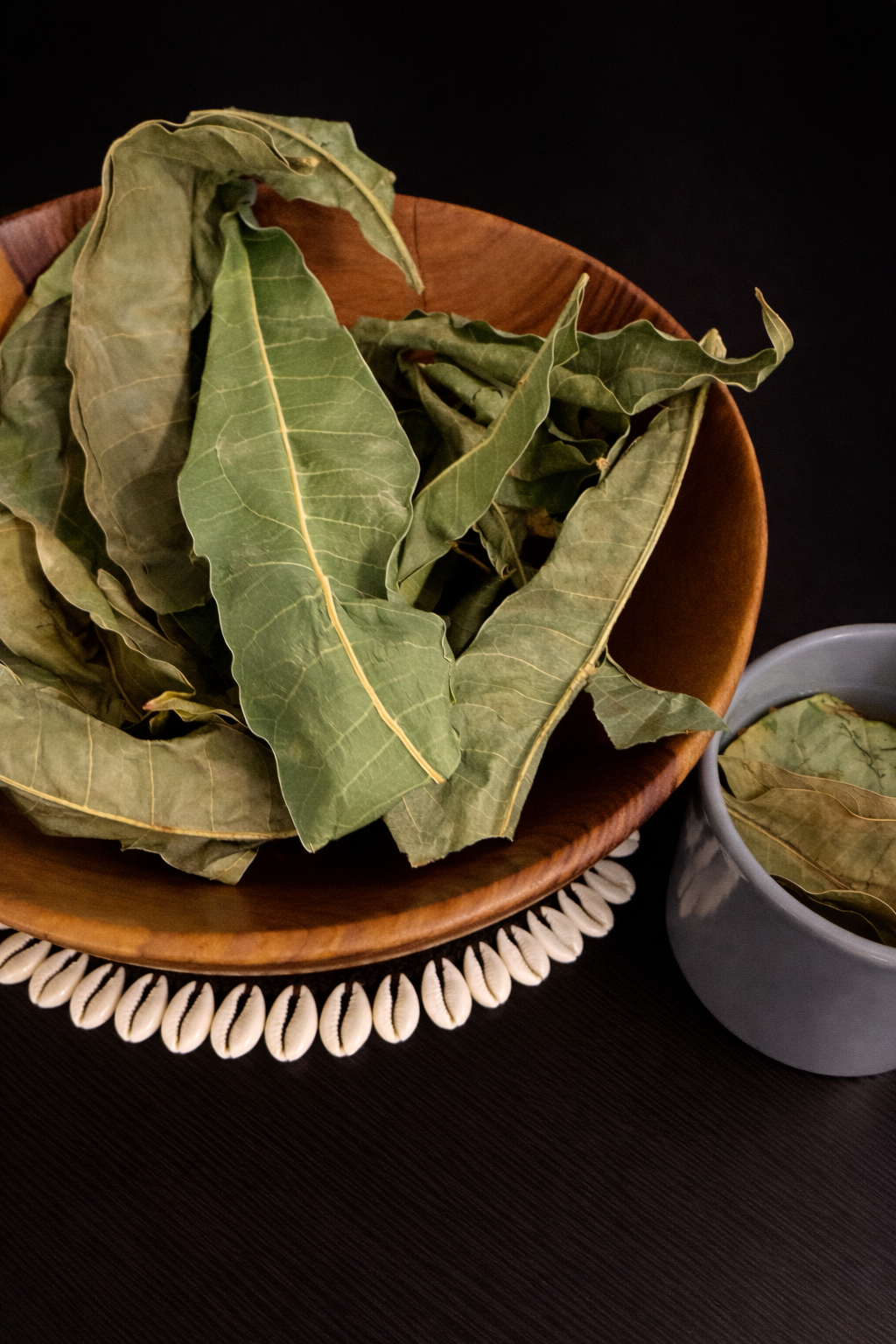 Mango Leaf