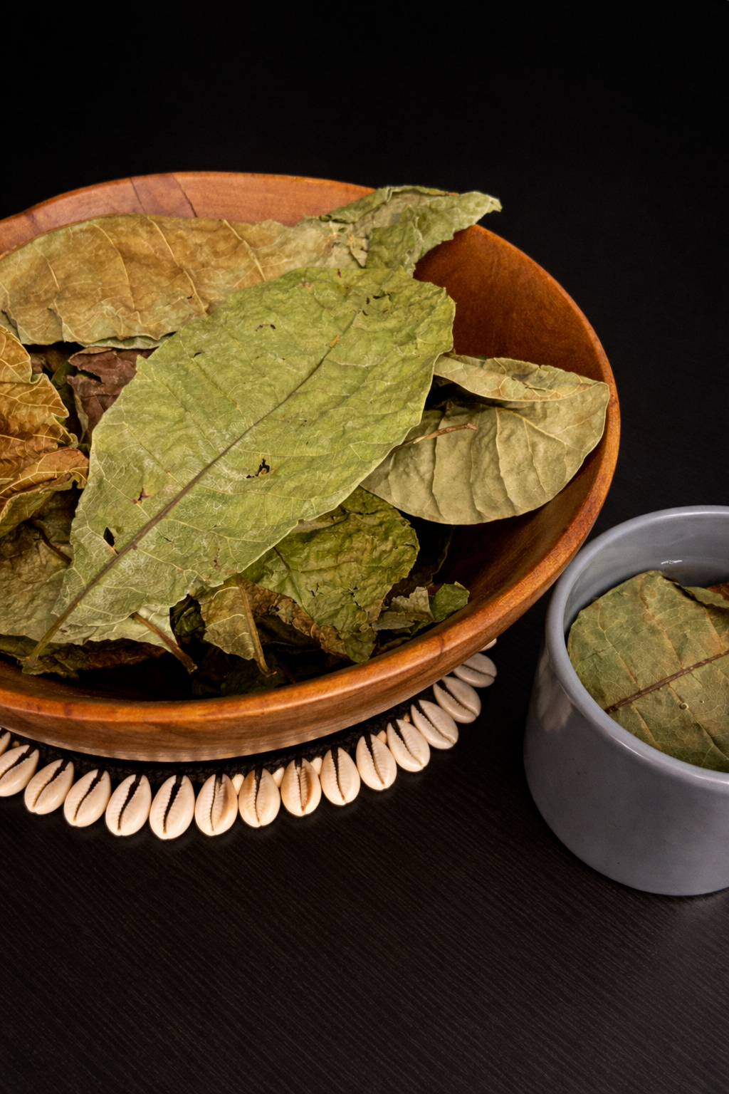 Cashew Leaf